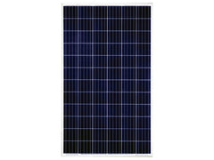 Dayliff 280W Multicrystalline Solar Module 24VDC