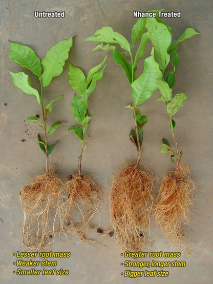 Nhance Foliar - 1Ltr