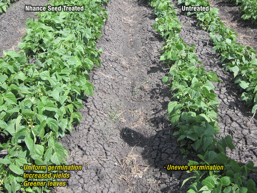 Nhance Foliar - 100ml