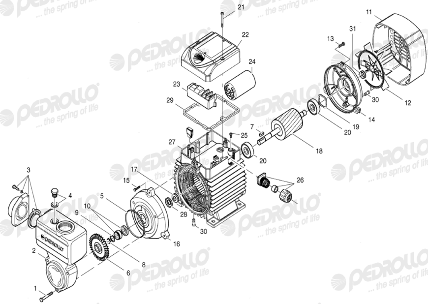 PEDROLLO PKSm70 0.6KW 1PH PUMP
